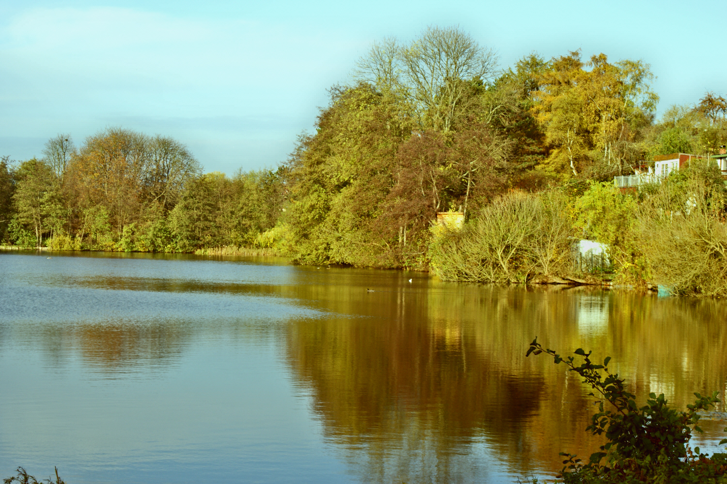 Goldener Herbst