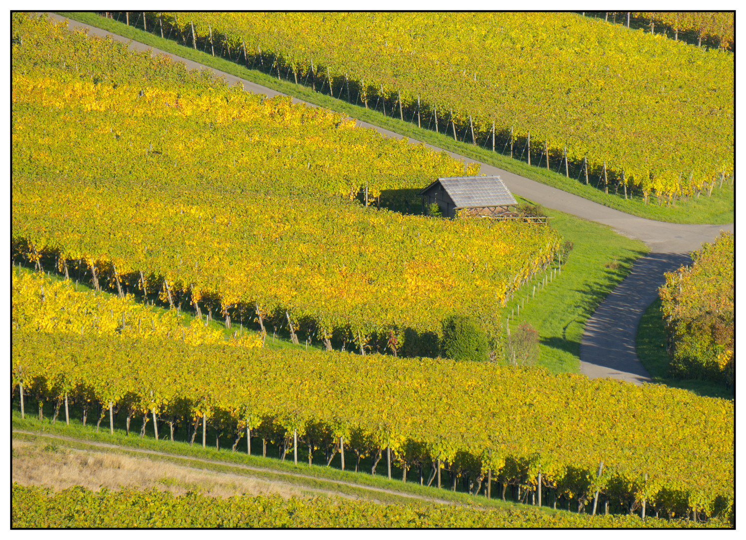 goldener Herbst