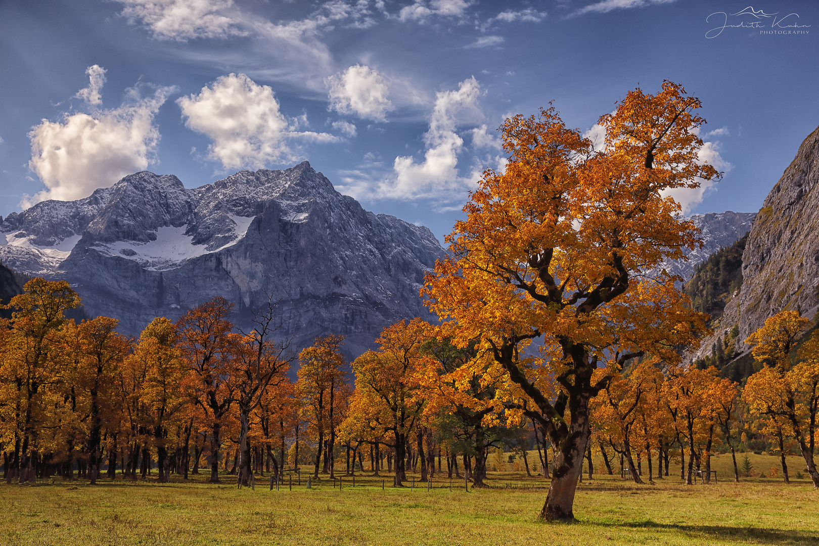 goldener Herbst