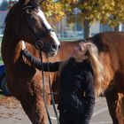 Goldener Herbst