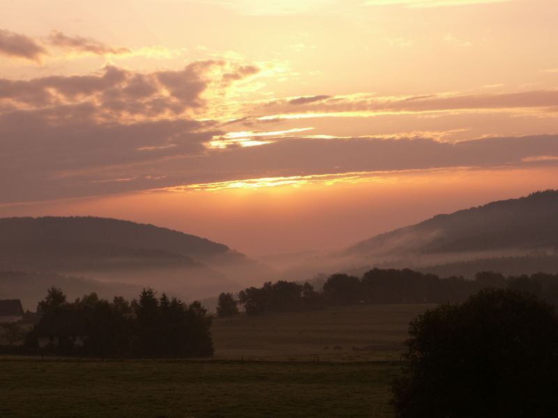 Goldener Herbst