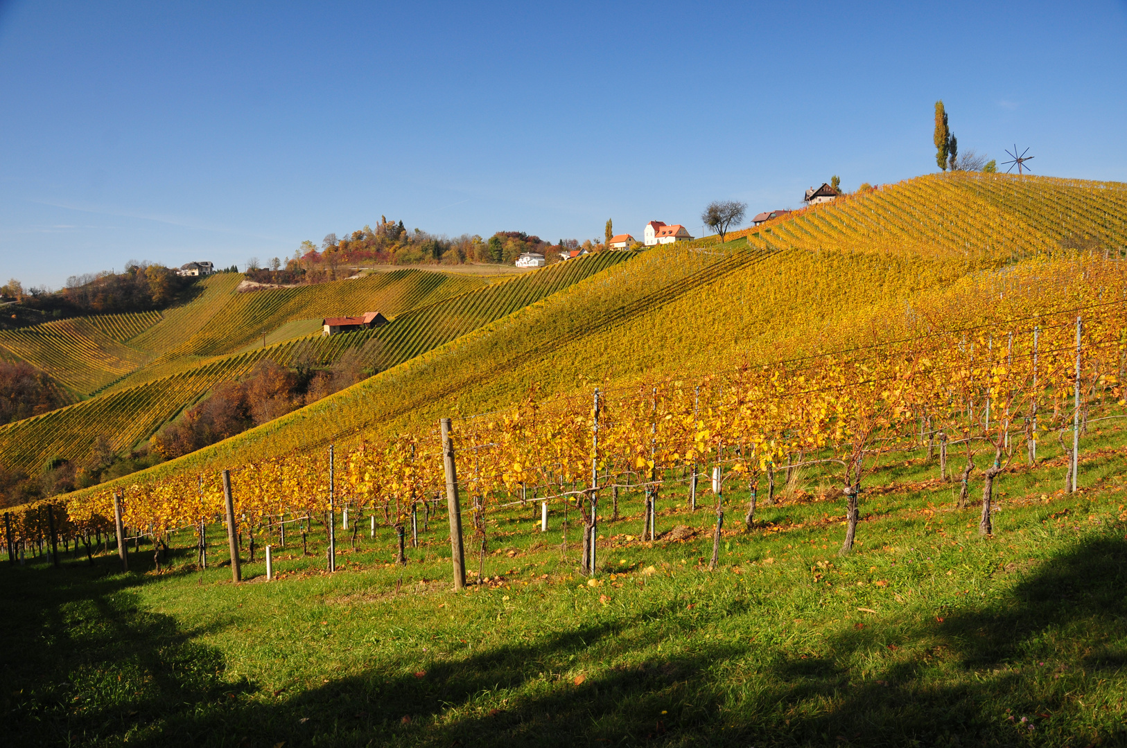 Goldener Herbst