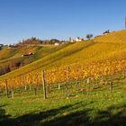 Goldener Herbst