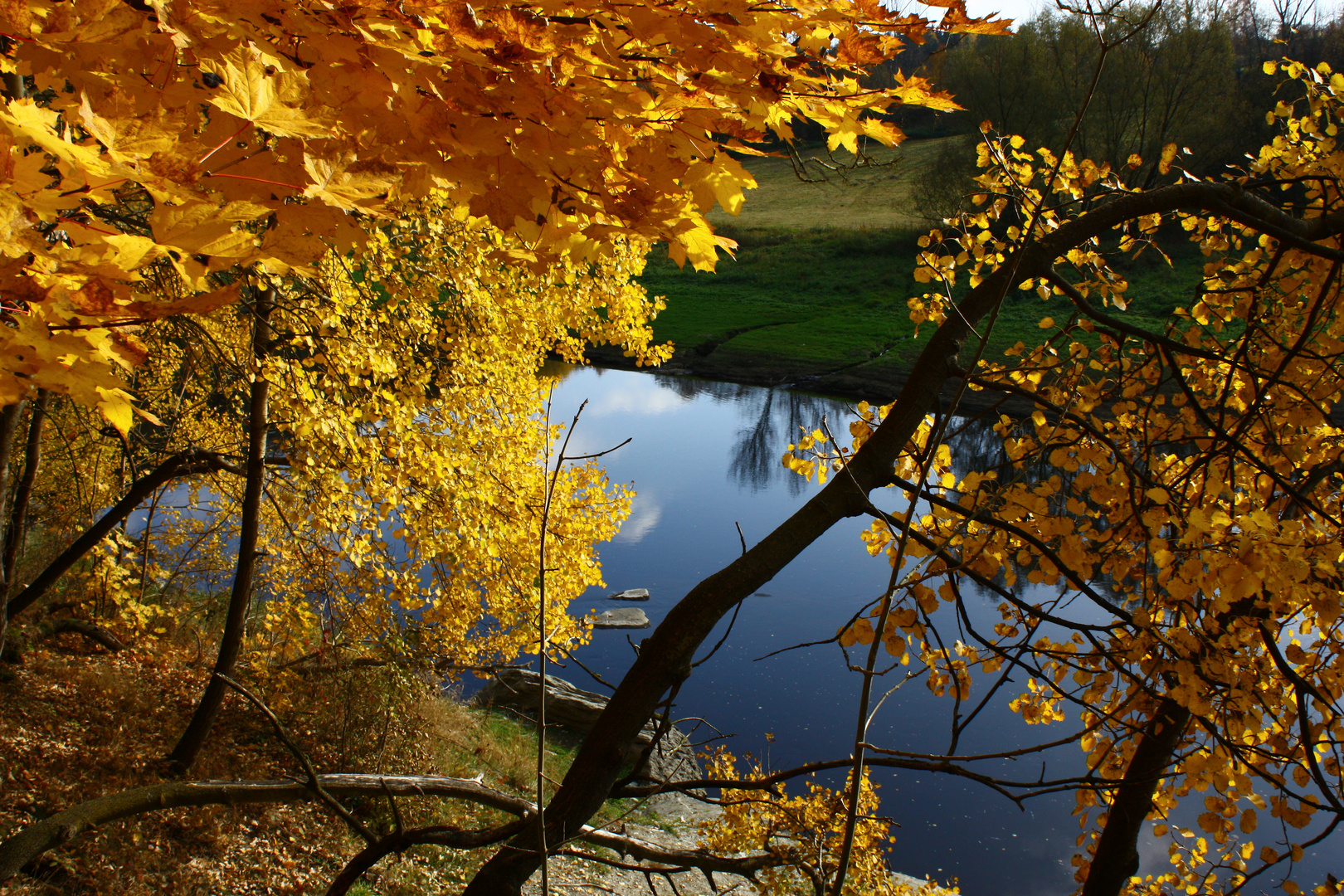 Goldener Herbst...