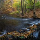 goldener Herbst...