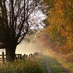 Goldener Herbst