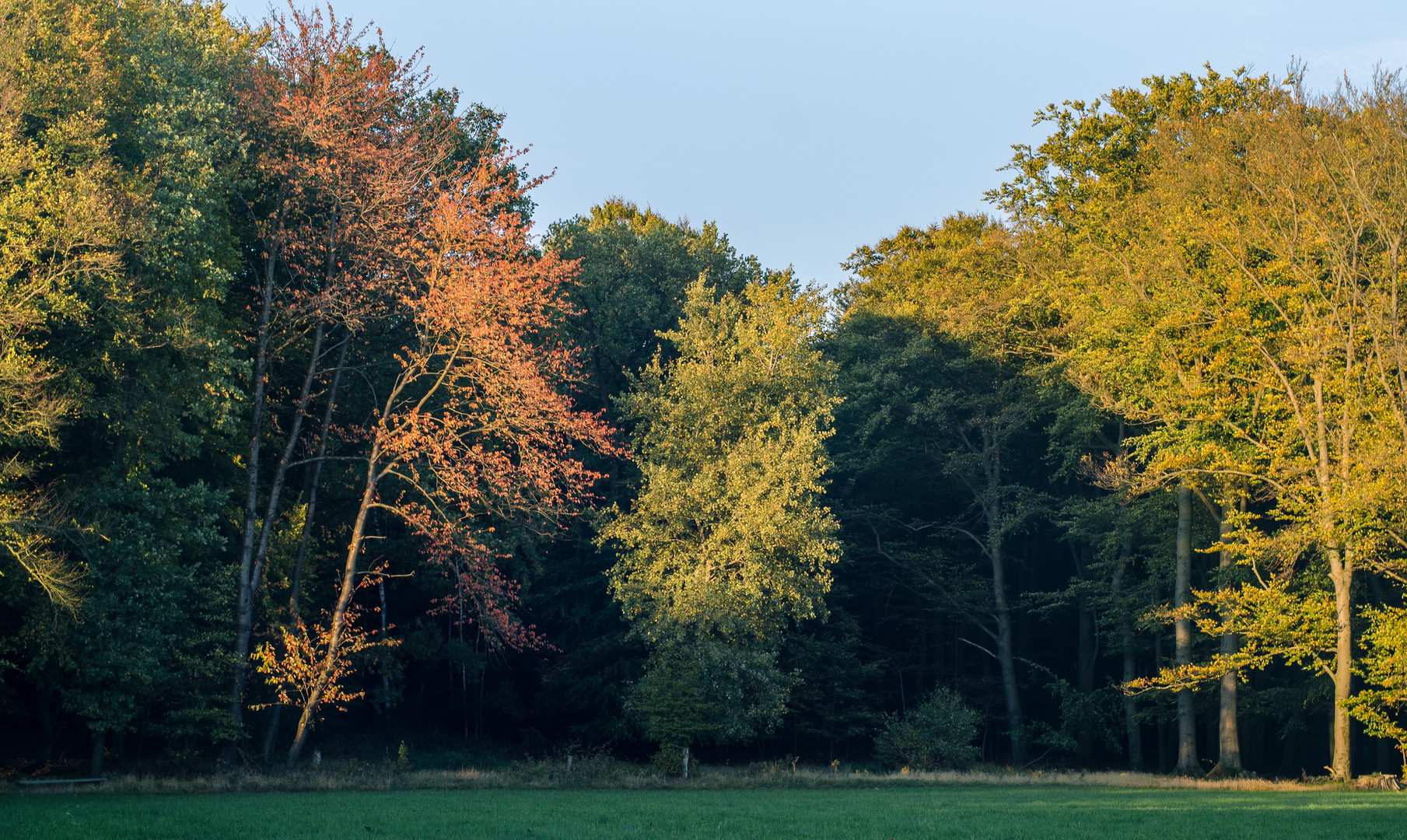 Goldener Herbst