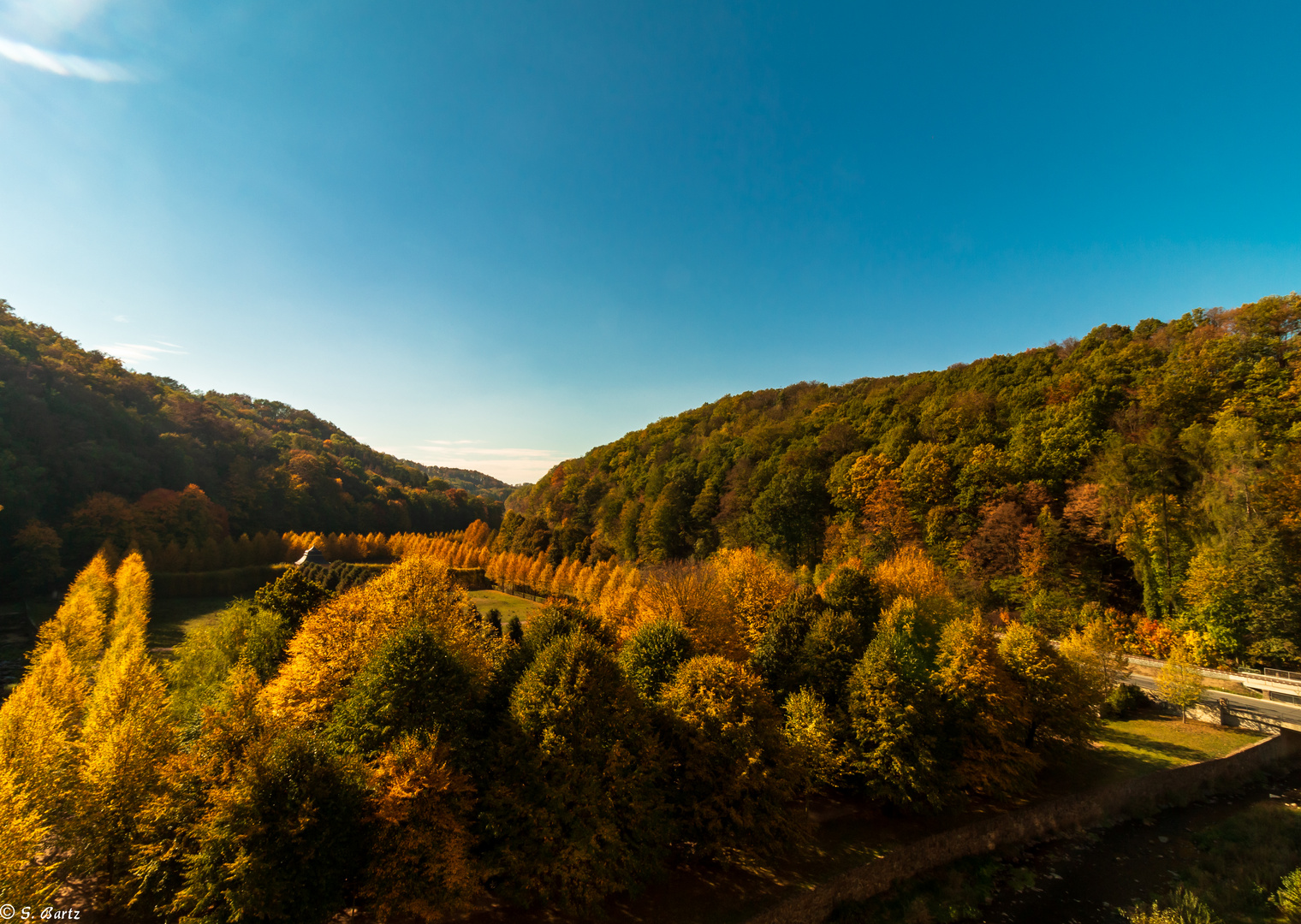 Goldener Herbst (2)