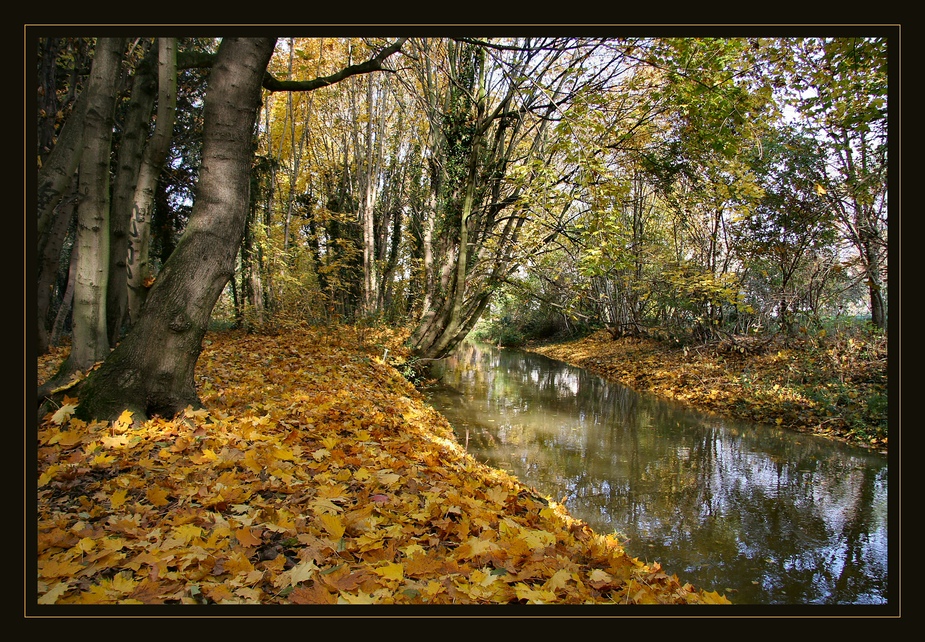 Goldener Herbst 2