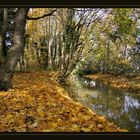 Goldener Herbst 2