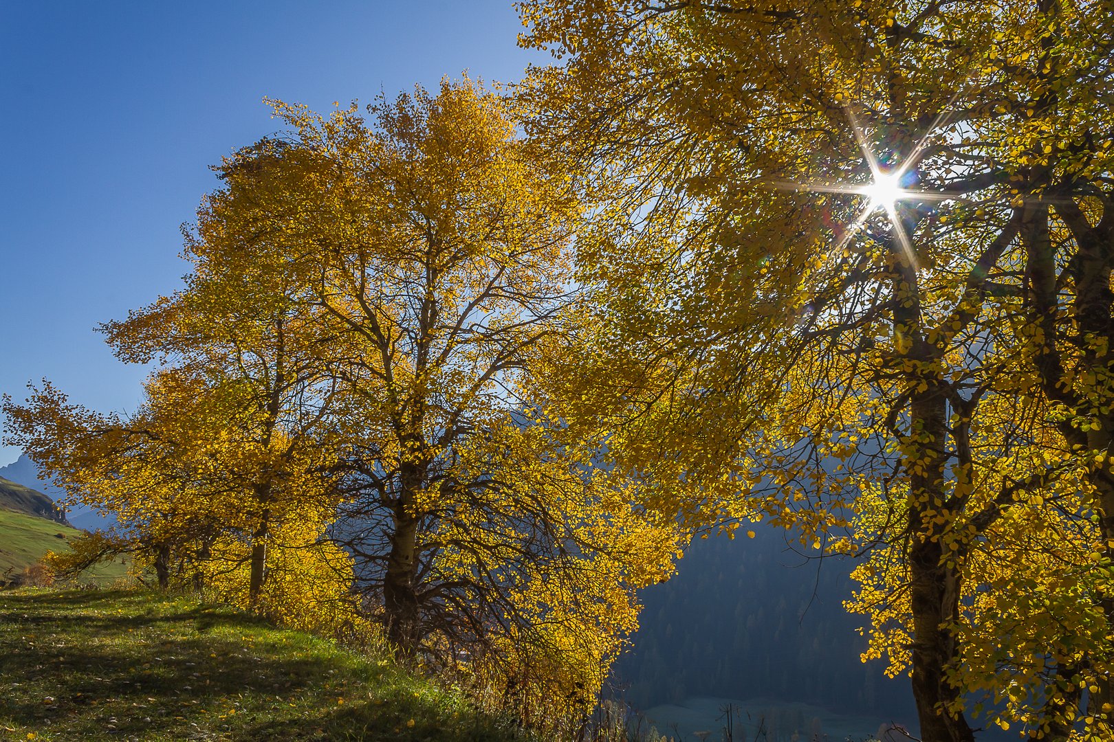 Goldener Herbst 2