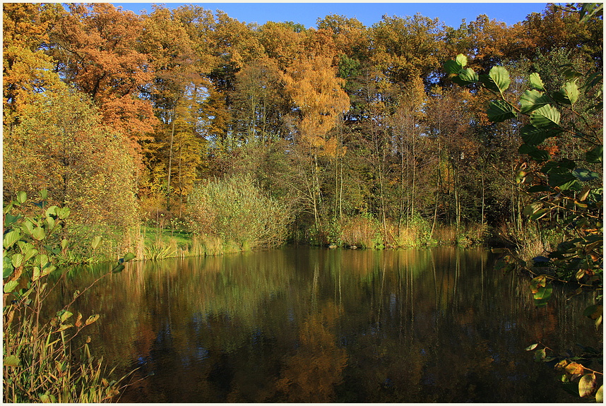 Goldener Herbst 2