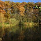 Goldener Herbst 2