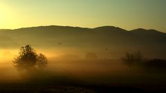 Goldener Herbst 2005