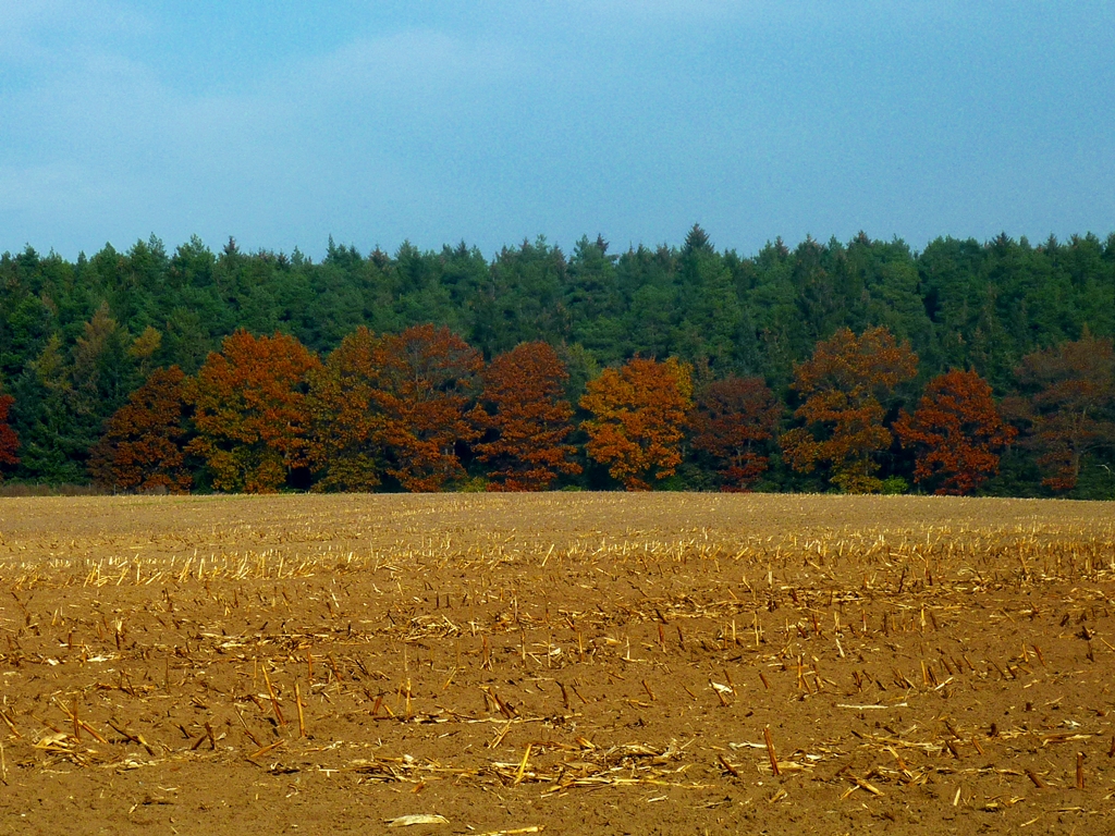 Goldener Herbst 2011