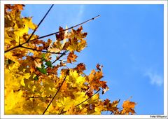 Goldener Herbst 2012 _01