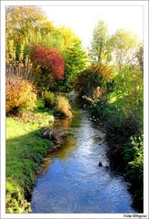 Goldener Herbst 2012 _02