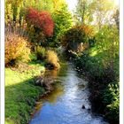 Goldener Herbst 2012 _02