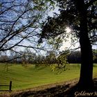 Goldener Herbst 2013