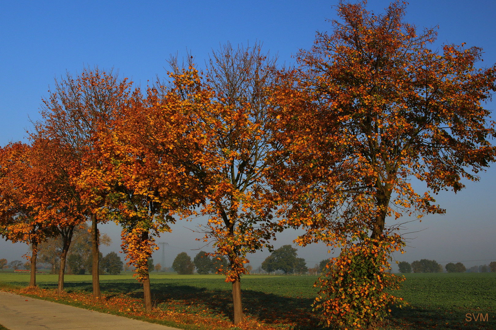 Goldener Herbst 2017 -ob er noch mal wiederkehrt?