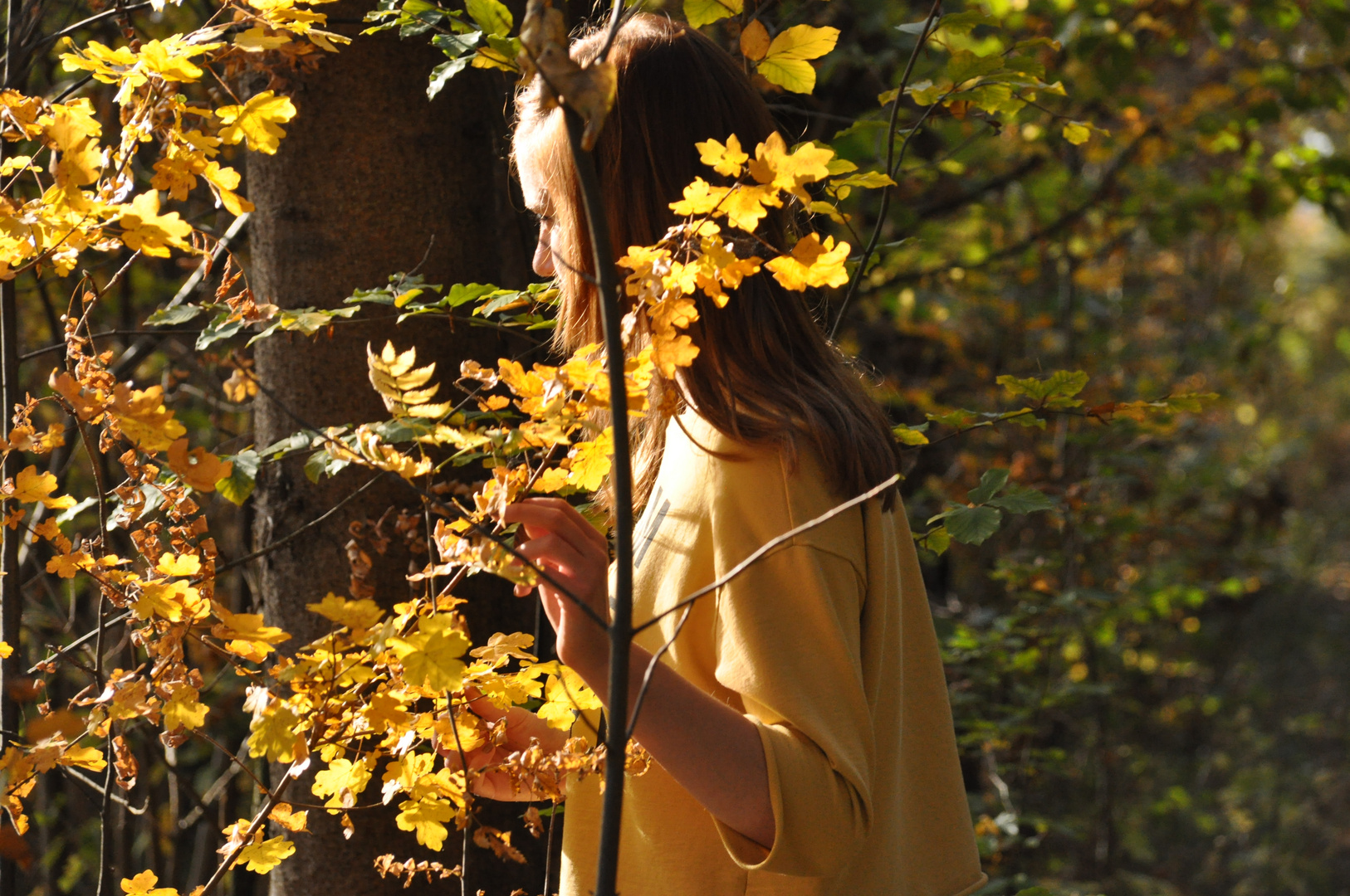 Goldener Herbst