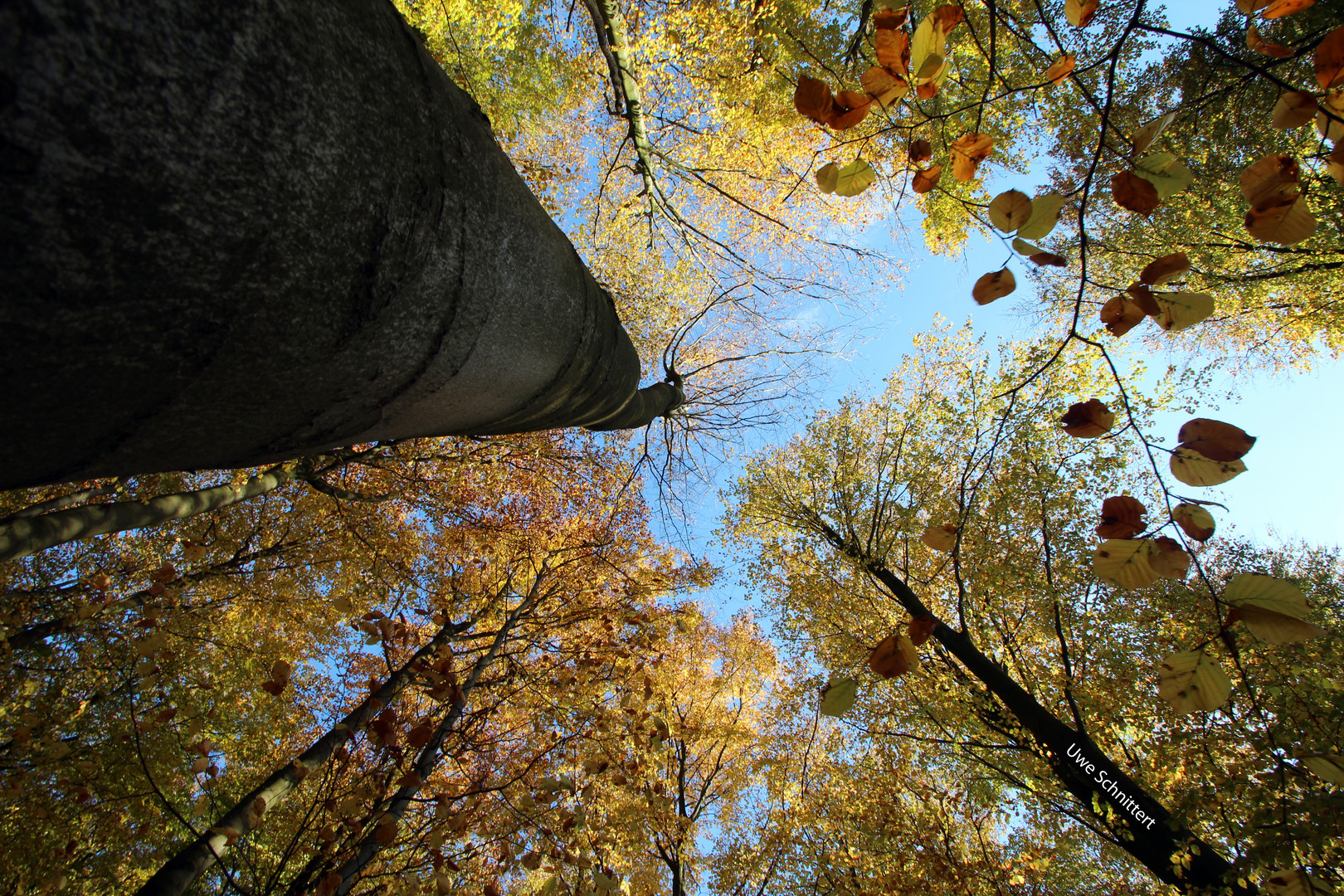 Goldener Herbst