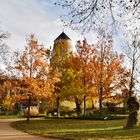 GOLDENER HERBST