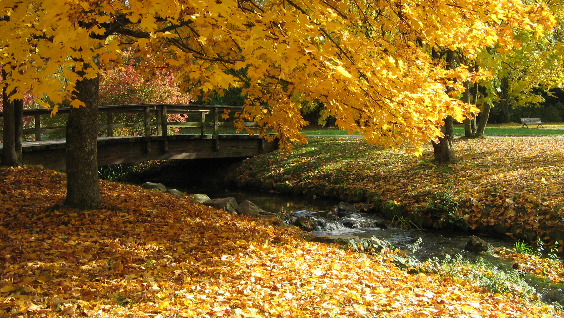 Goldener Herbst