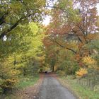 Goldener Herbst