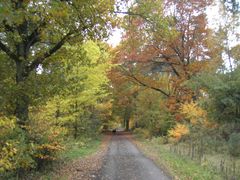 Goldener Herbst