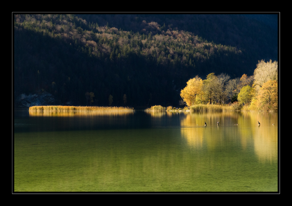 goldener herbst