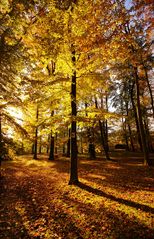 Goldener Herbst