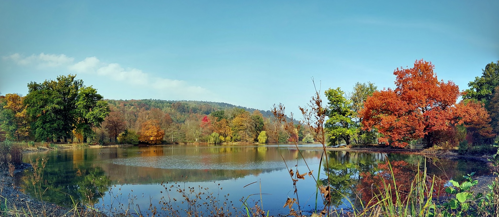 Goldener Herbst