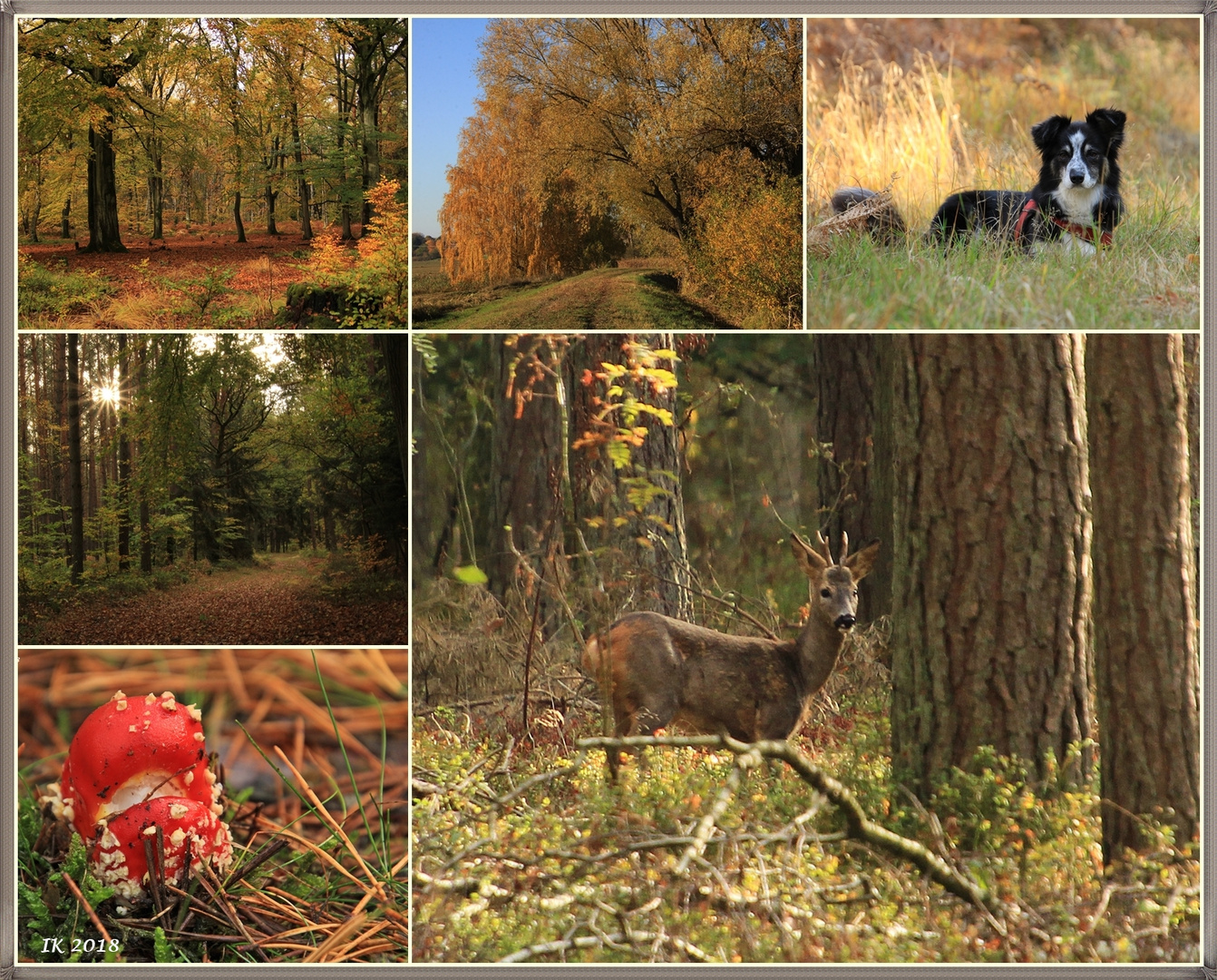 goldener Herbst