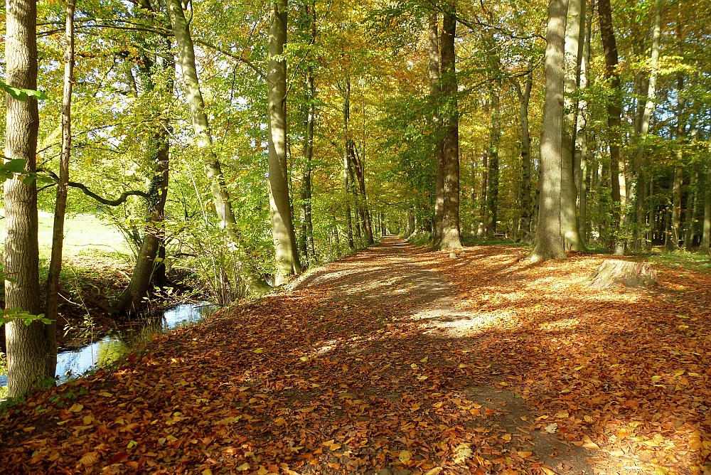 Goldener Herbst