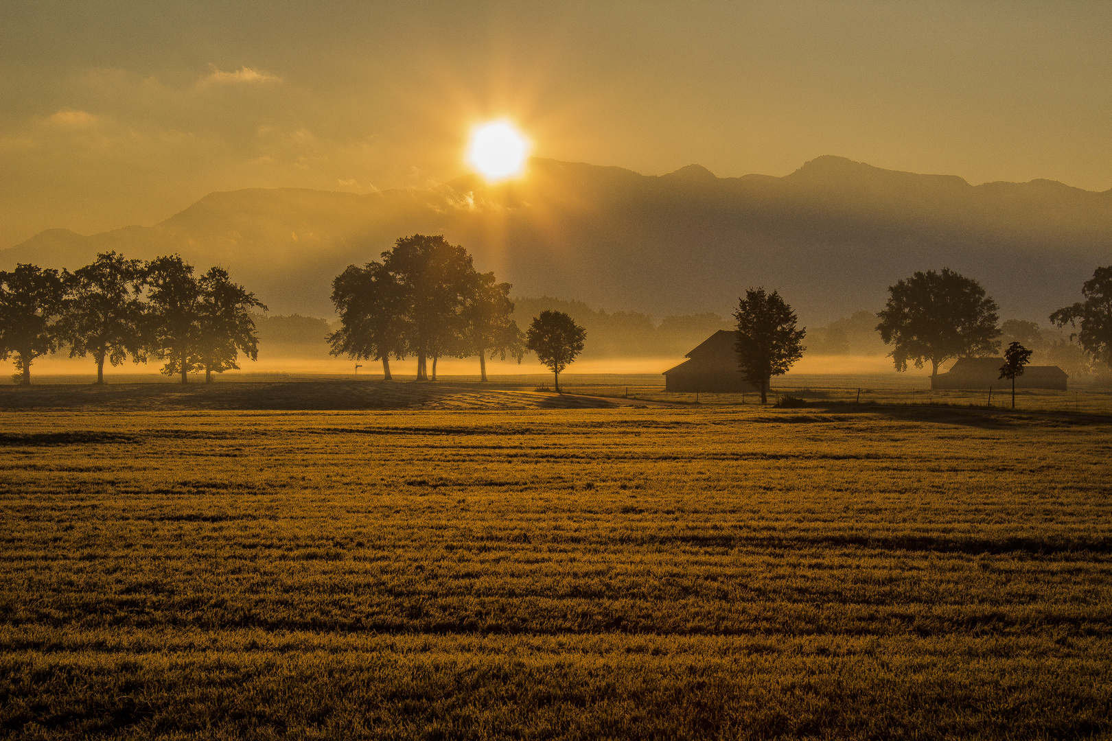 Goldener Herbst