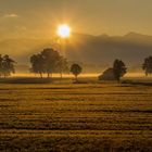 Goldener Herbst