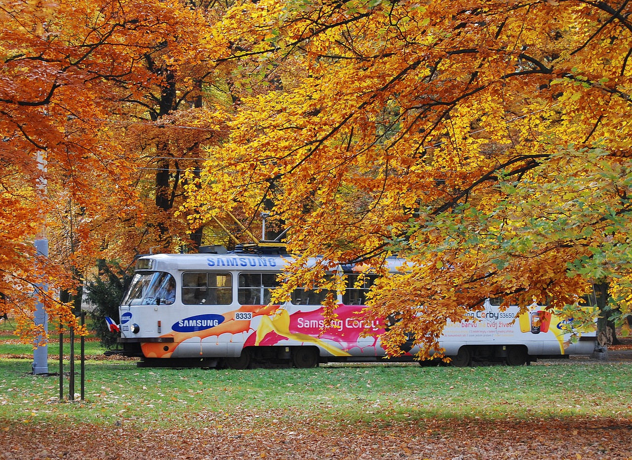 Goldener Herbst...