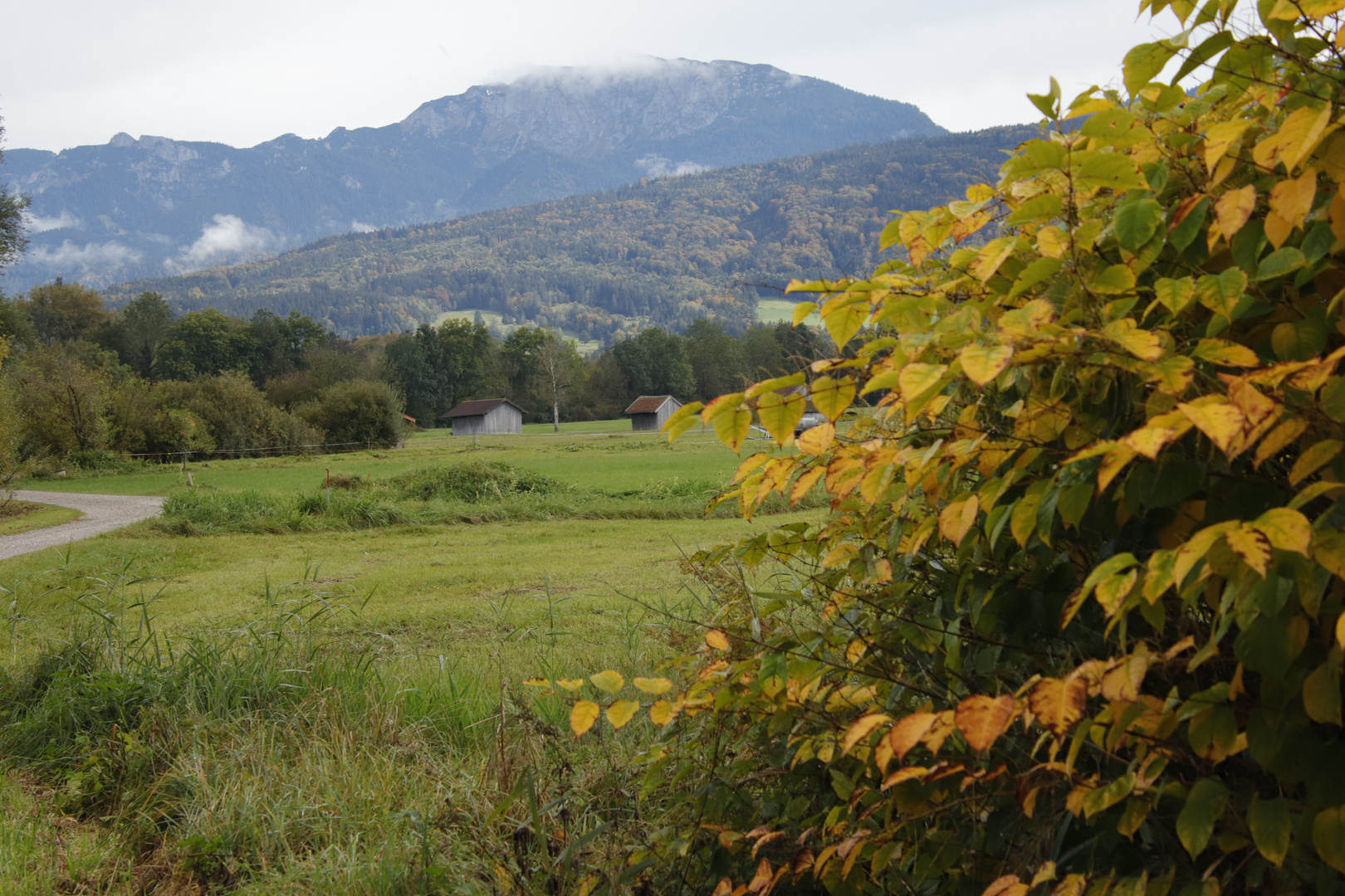 Goldener Herbst