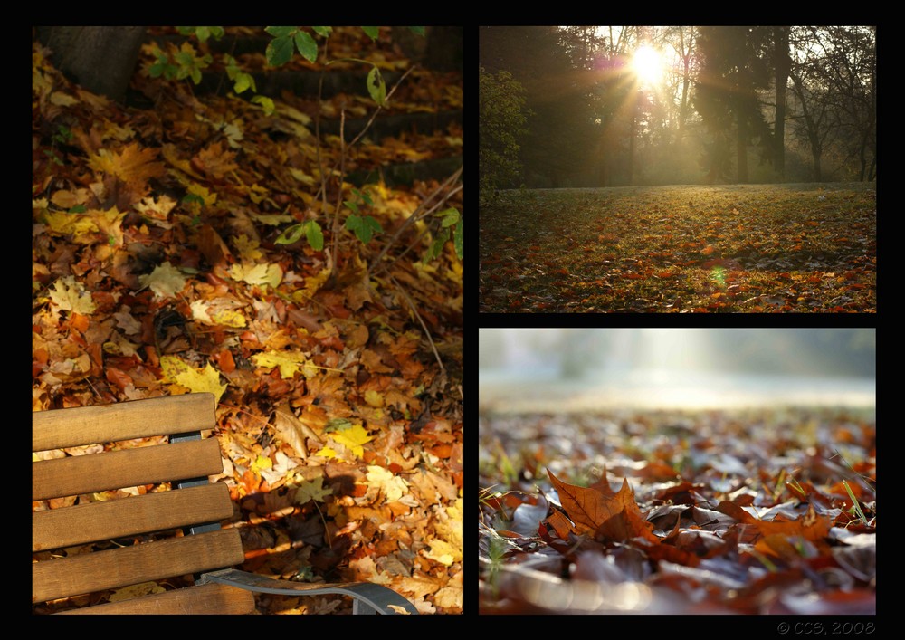 Goldener Herbst