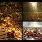 Goldener Herbst