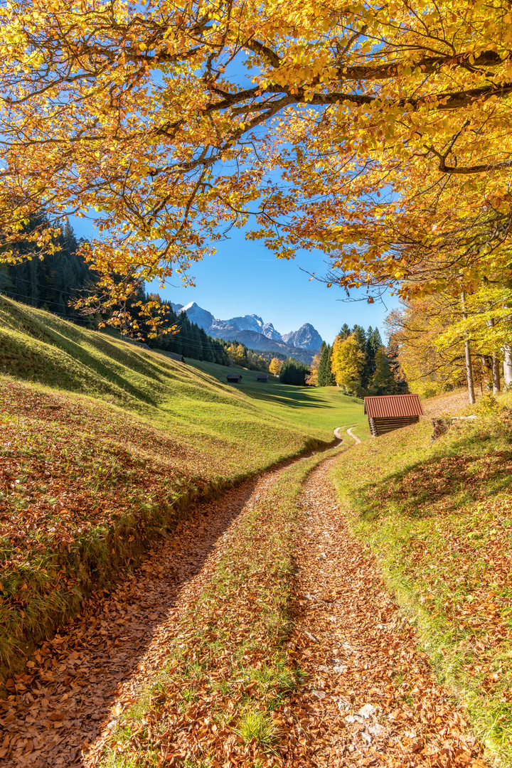 Goldener Herbst