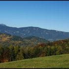 Goldener Herbst