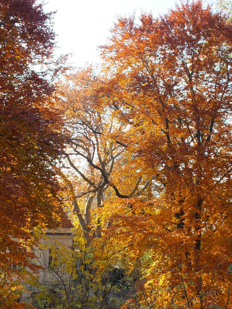 Goldener Herbst