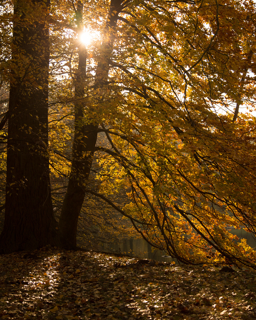 Goldener Herbst