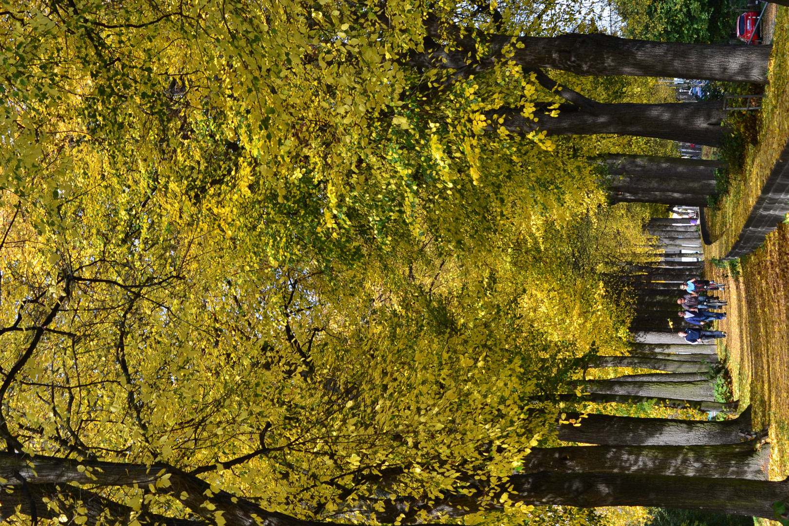 Goldener Herbst