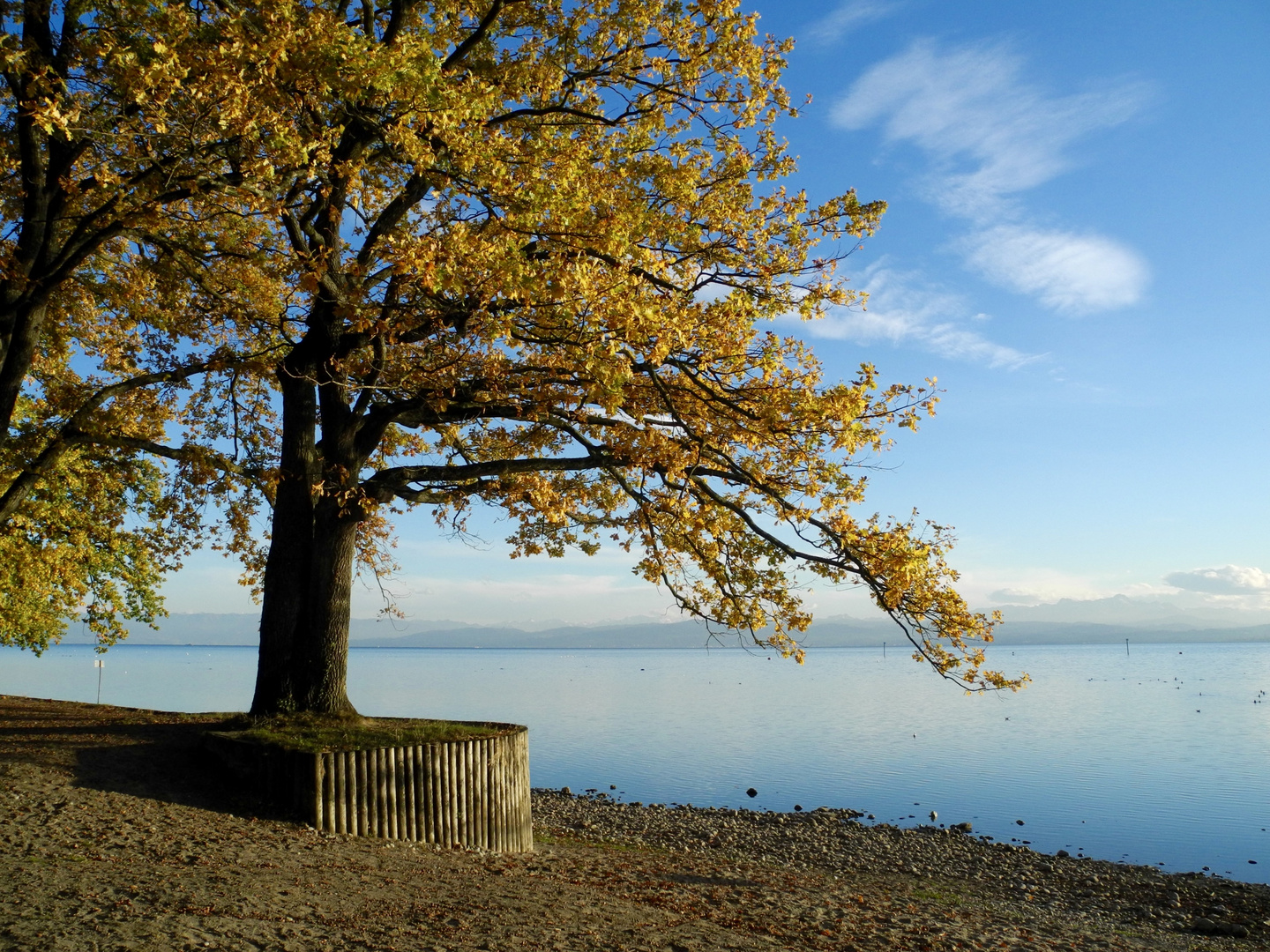 goldener Herbst