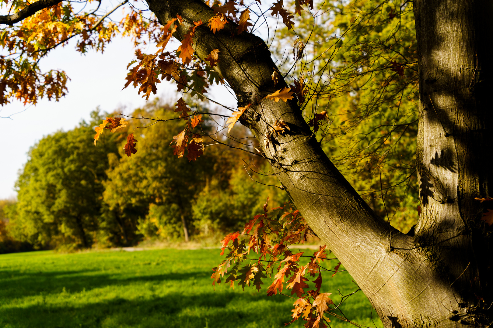 Goldener Herbst!