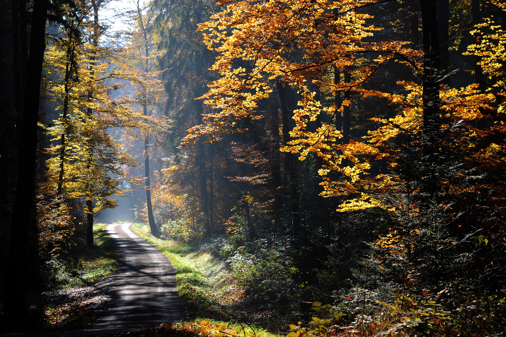 Goldener Herbst