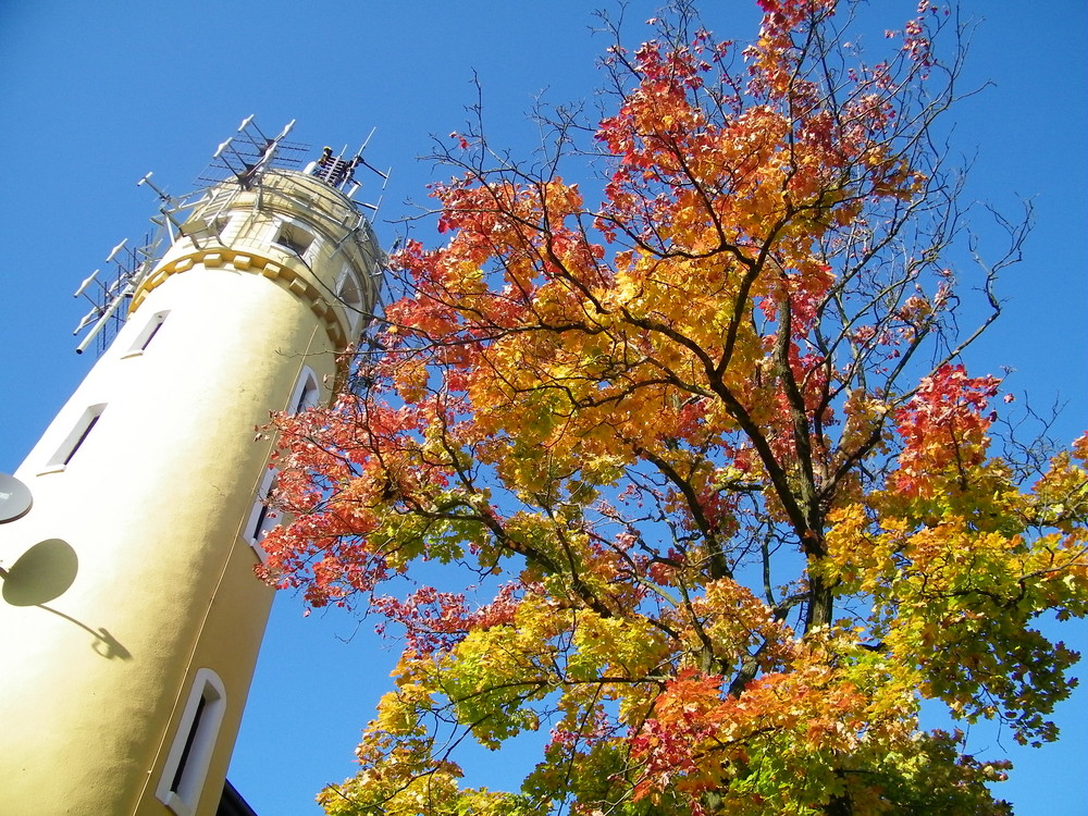 goldener Herbst